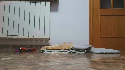 sebaxxxxxx2 webcam model stream image