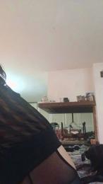 Penele webcam model stream image