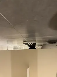 Turkishleo webcam stripchat model stream image