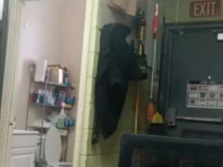 lushdiamondz camsoda stream image