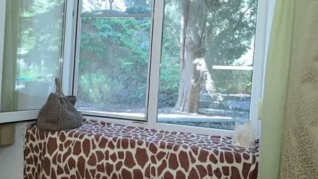 Eva_Golden stripchat stream image