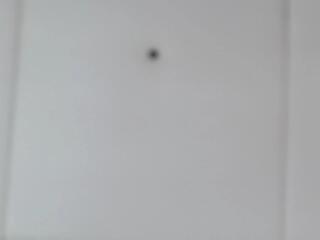 Palmer Beaumont flirt4free stream image