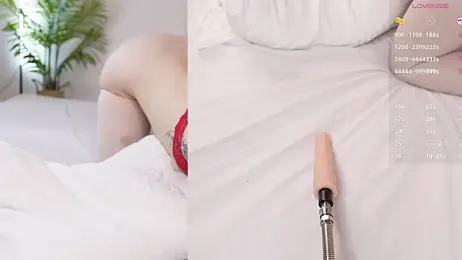 Baby_blush stripchat stream image