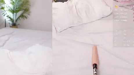 Baby_blush stripchat stream image