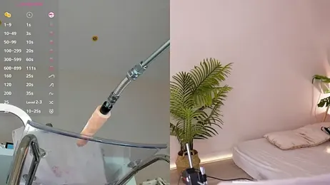 Baby_blush stripchat stream image