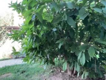 patry333 chaturbate stream image