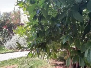 patry333 chaturbate stream image