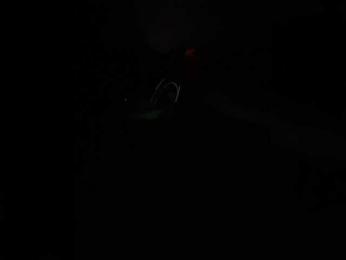 SallyeLeins bongacams stream image