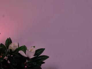 Anastasia Anna flirt4free stream image