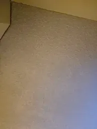 Roddog18 stripchat stream image