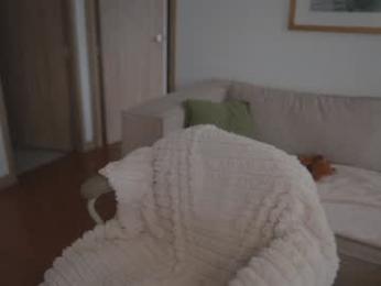 rebeccastonee chaturbate stream image