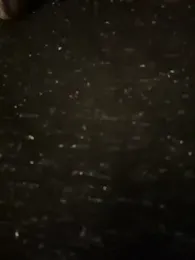 Novababy18 stripchat stream image