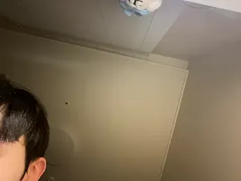 dvoi stripchat stream image