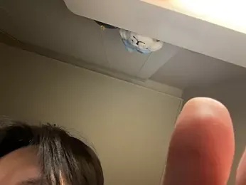 dvoi stripchat stream image