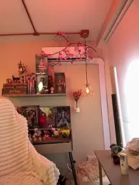 Zoe_Bae stripchat stream image