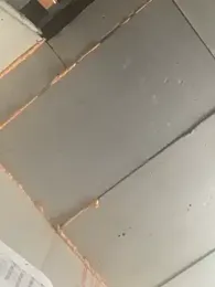 Boysex227 stripchat stream image