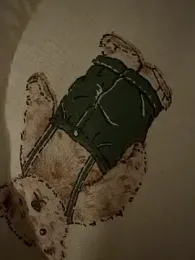 dvoi stripchat stream image