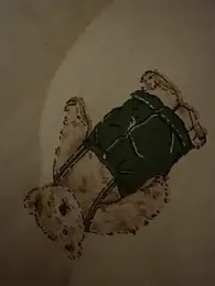 dvoi stripchat stream image