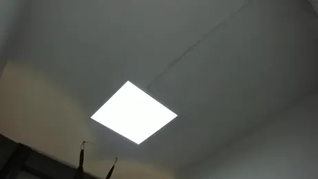 selene_red_ stripchat stream image