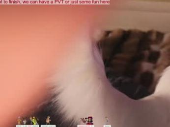lissa_meooow chaturbate stream image
