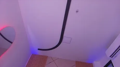 mister_miike stripchat stream image