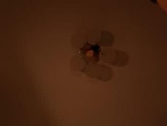 miafleur chaturbate stream image