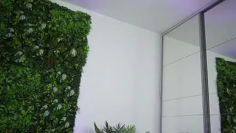 amiraroshen stripchat stream image