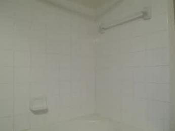 bigdicktrannynicole chaturbate stream image