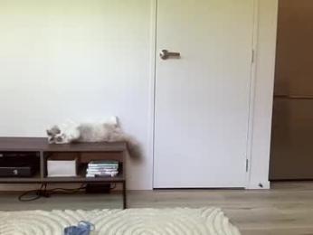 mollyy2006 chaturbate stream image