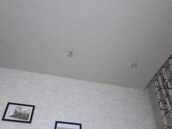 dolly-ll bongacams stream image