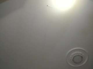 apotheosiss camsoda stream image