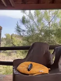 AmaliaMarkova_ stripchat stream image