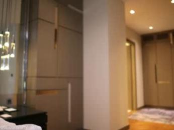 shy_jane chaturbate stream image